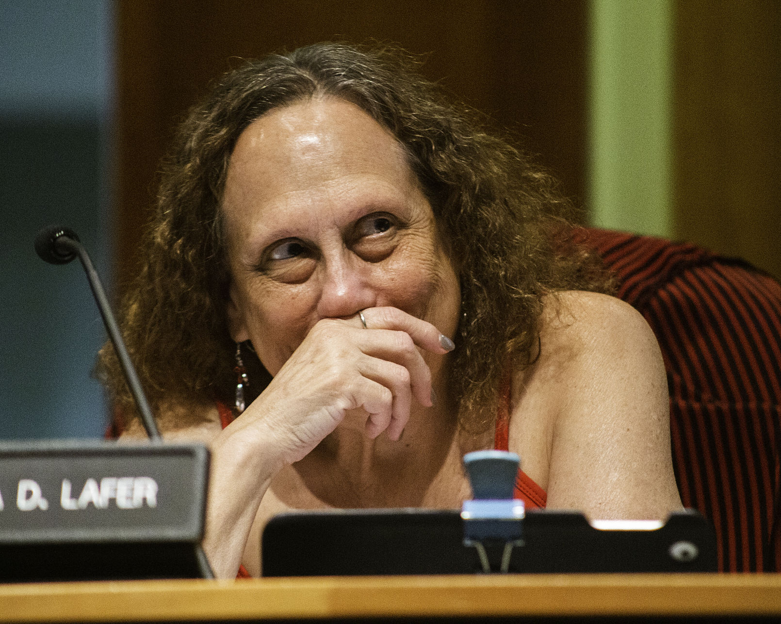 Borough Council, Councilwoman Lafer